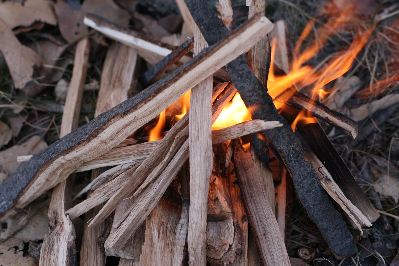 Wood Trekker How to Make a Fire A Beginner's Guide
