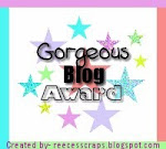 Gorgeous Blog Award