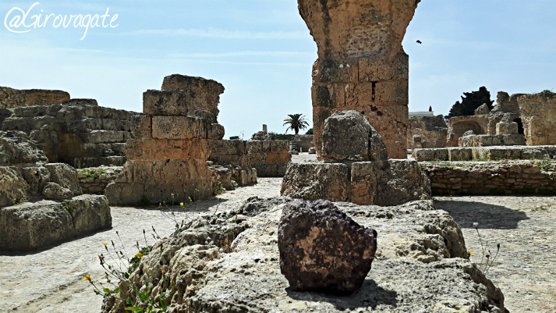 cartagine tunisia