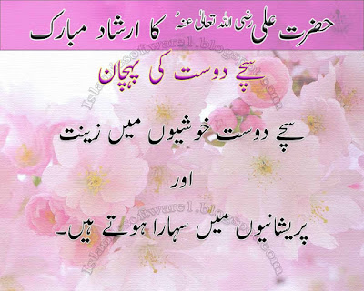 Motivational quotes of Hazrat Ali (RA) on Friendship 3