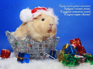 Прелестная открытка к Новому году мыши и крысы 2026. Бесплатные, красивые живые новогодние открытки в год мыши
