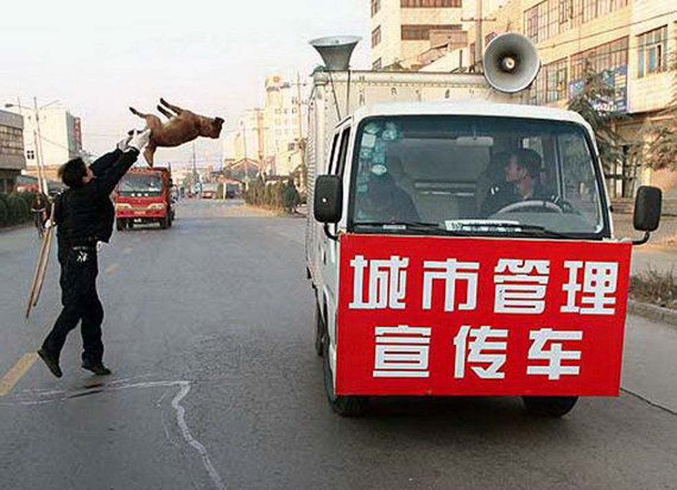 Ненавижу китайский. Бездомные собаки в Китае. Каких животных ненавидят китайцы. Как в Китае убивают собачку.
