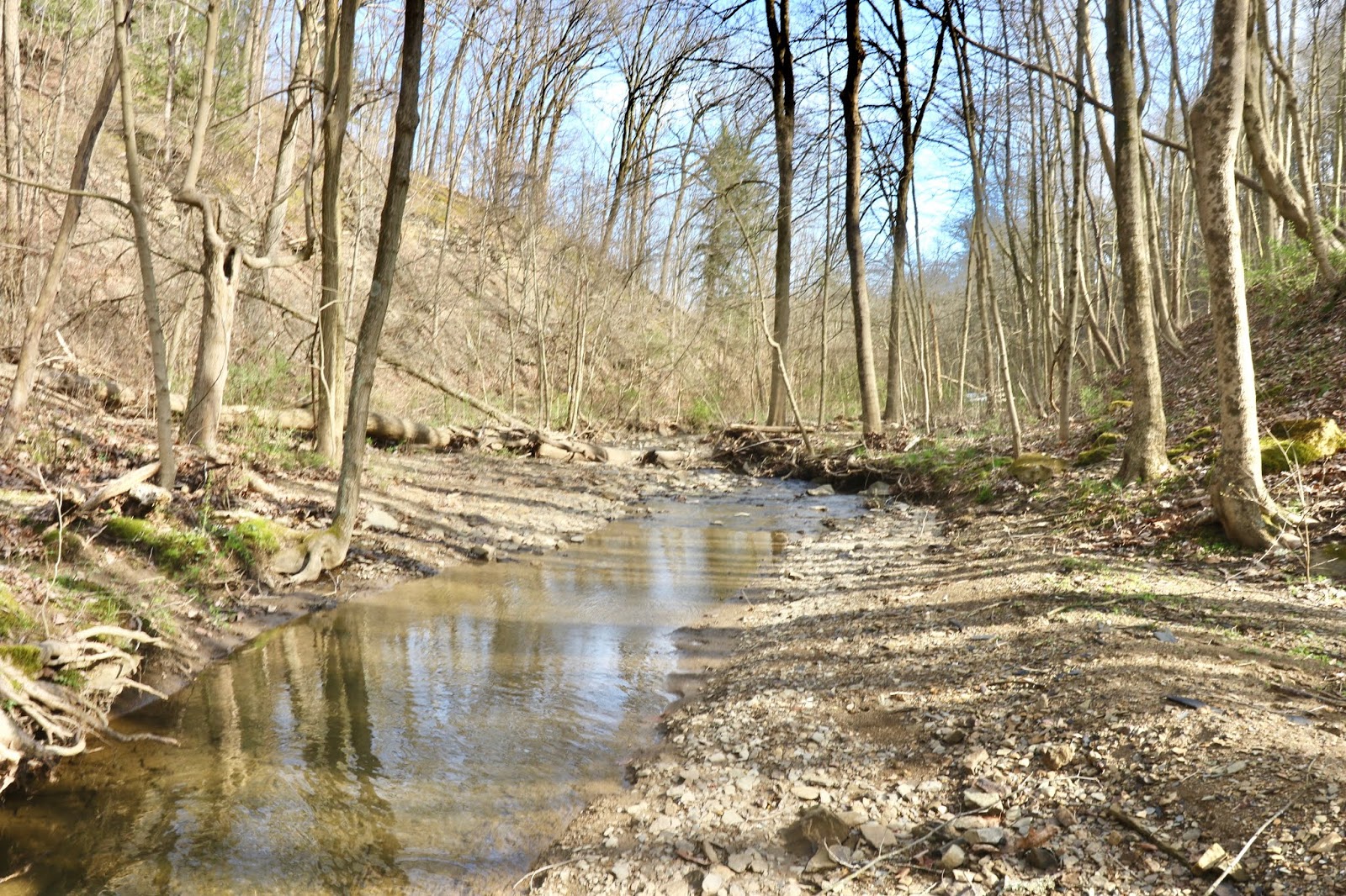 Trout Run