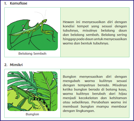 Materi dan Kunci Jawaban Buku Tematik Kelas 6 Tema 2 Halaman 66, 67, 68