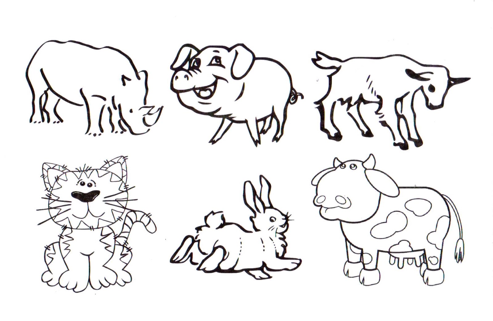 88 Gambar Hewan Berkaki Empat Yang Hd Terbaik Gambar Hewan