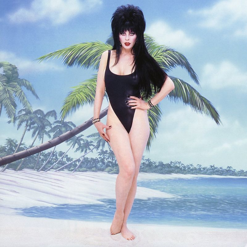 Elvira, Mistress of the Dark: Glamorous Vintage Photos of Cassandra Peterson in the 1980s - 14