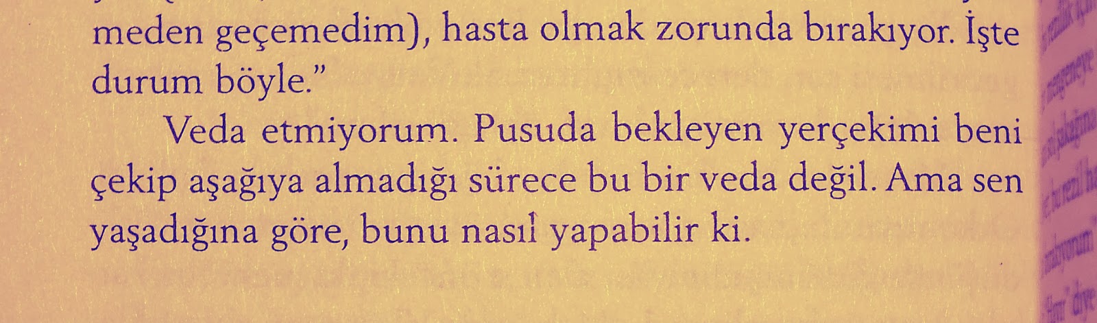 a.20.jpg