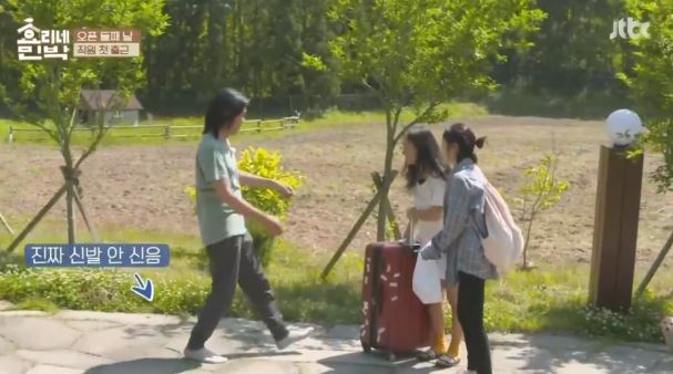 [효리네민박] 아이유의 등장에 사고회로에 문제가 온 남자들.jpg | 인스티즈