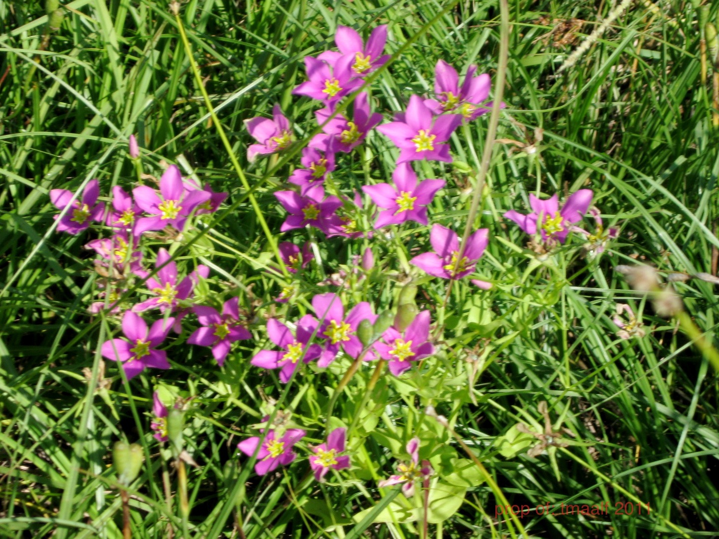 Two Men and a Little Farm BEAUTY ALL AROUND US