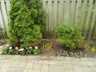 Toronto Greektown Spring Cleanup Back Garden After by Paul Jung Gardening Services--a Toronto Organic Gardener Toronto Greektown Spring Cleanup Back Garden After by Paul Jung Gardening Services--a Toronto Organic Gardener