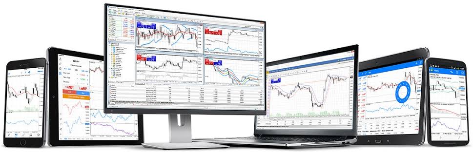 Forex estudio