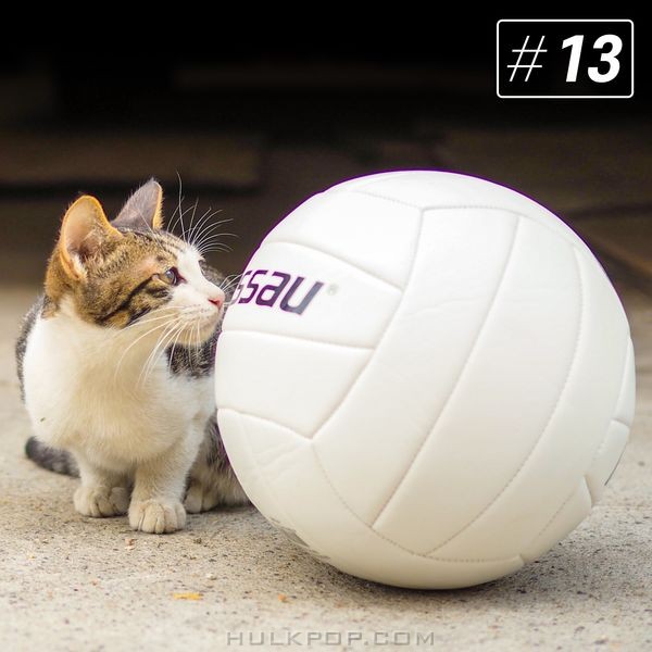 Hyun-ki’s Side Job – To My Volleymate – Single