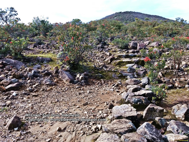 Pendakian Gunung Lawu via Candi Cetho