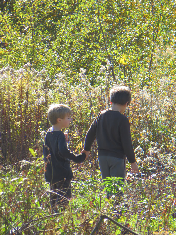 The Road to Poland Building a House in Poland, Step 1 Buying land
