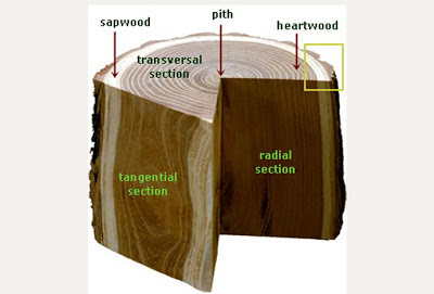 Kayu Jati Untuk Mebel Jepara