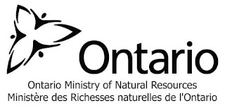 Ontario Ministry of Natural Resources and Forestry logo