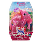 My Little Pony Secret Wish Divine Shine G3 Pony