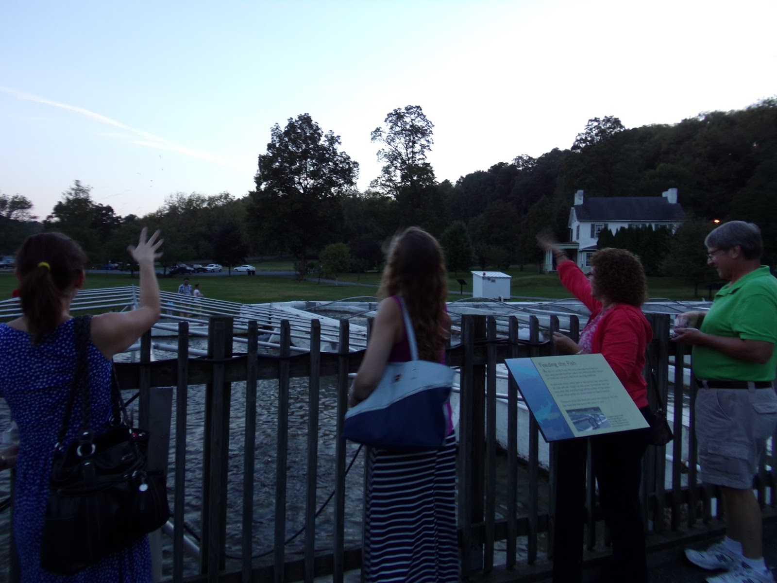 Allentown Lil' LeHi Trout Hatchery Interesting Pennsylvania and Beyond