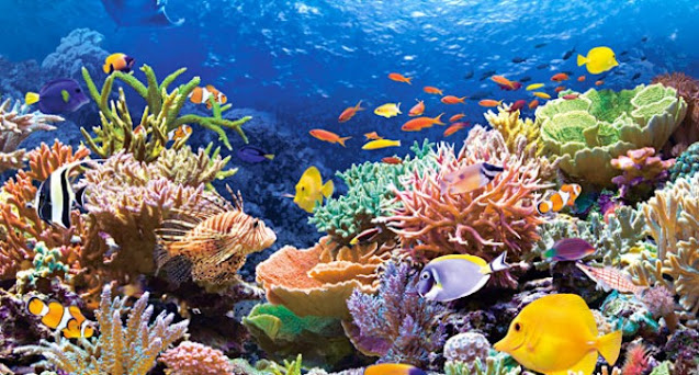 Άγνωστες θάλασσες