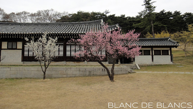 Etelä-Korea - www.blancdeblancs.fi