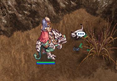 Ragnarok Rocks: How to go to Splendide Fields without any quest