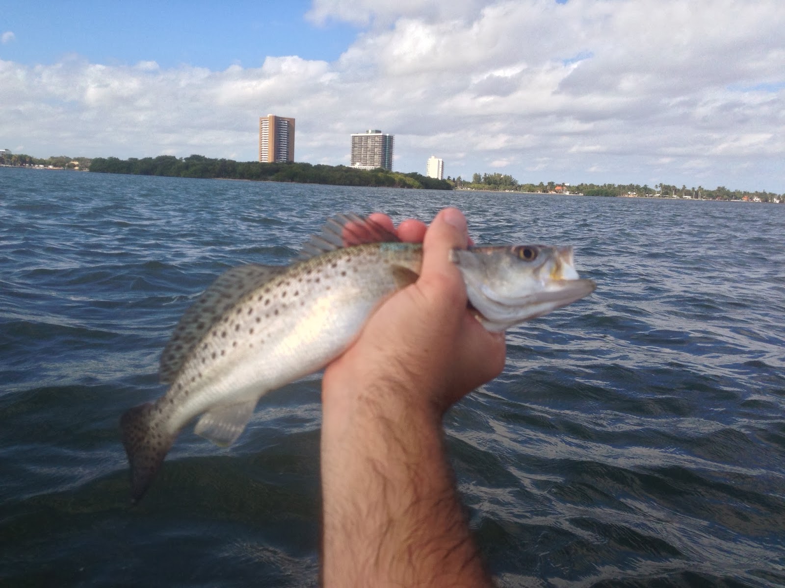 Fishing in South Florida