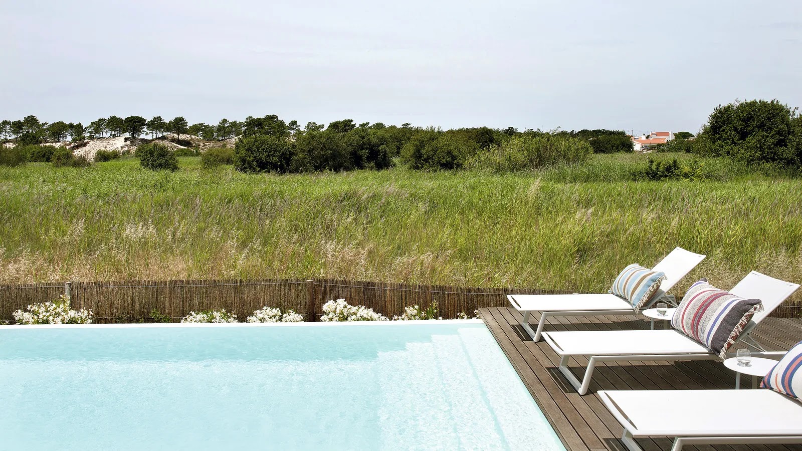 ������� ����� ����� ��������� 11.webp