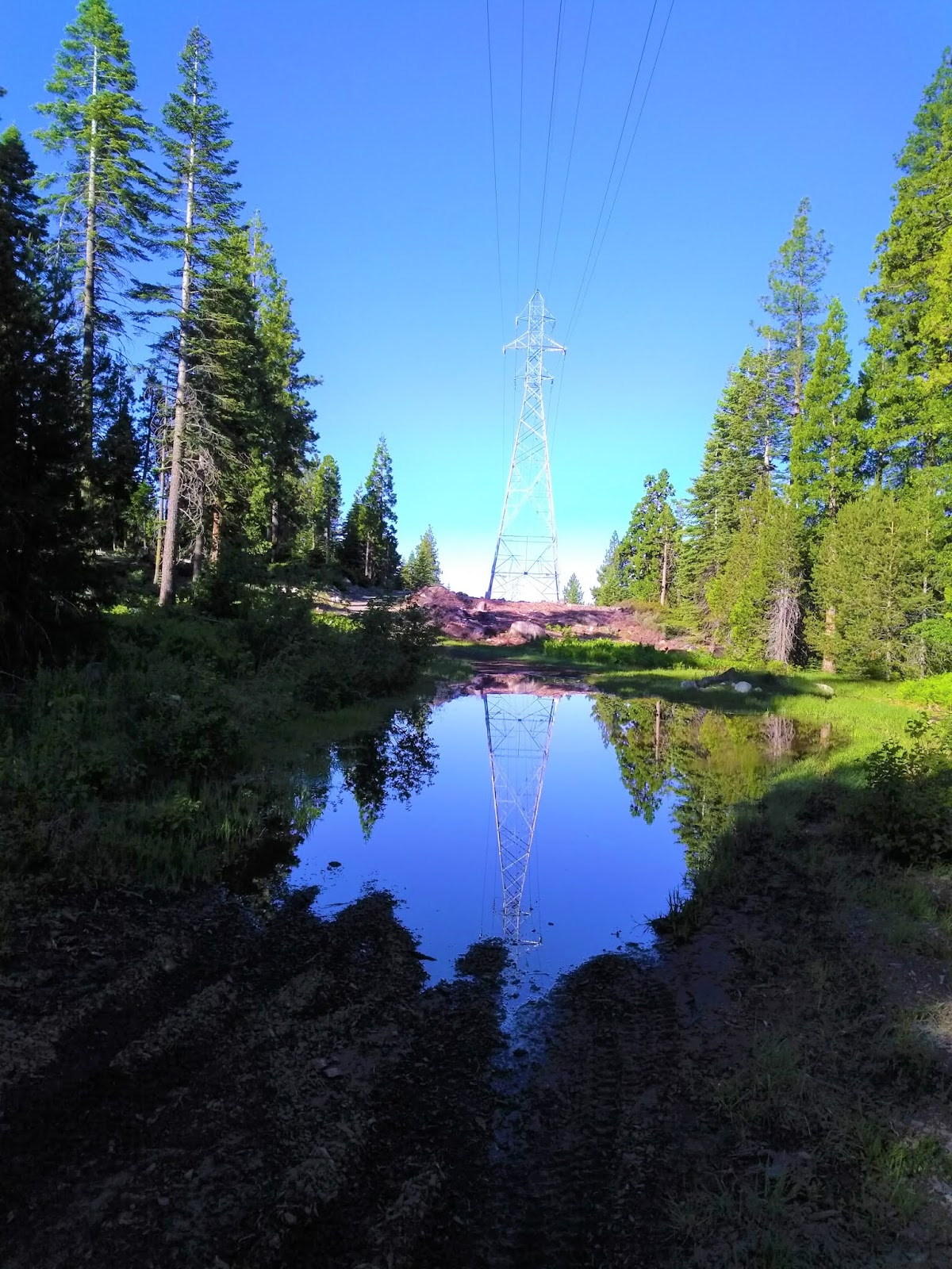 Bikes Loon Lake Bike/Hike