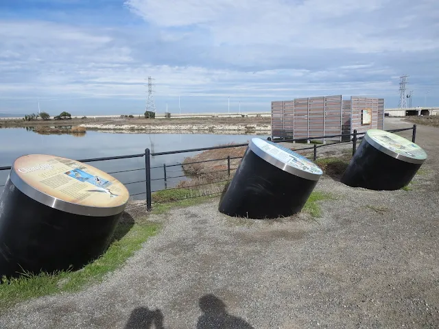 Markers describing the Bay Area birds near the Dumbarton Bridge