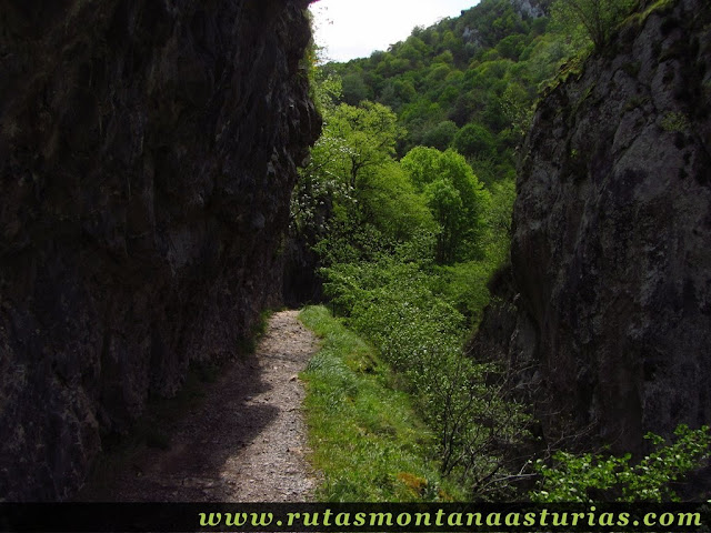 Llegando al bosque en las xanas