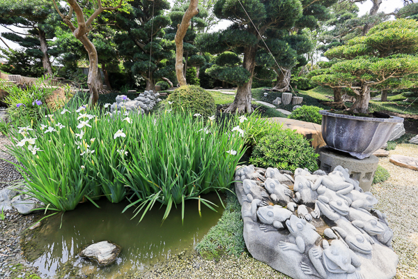 台灣銘園庭園美術館由古樹、奇石、石雕和水池組成的唯美庭園景觀