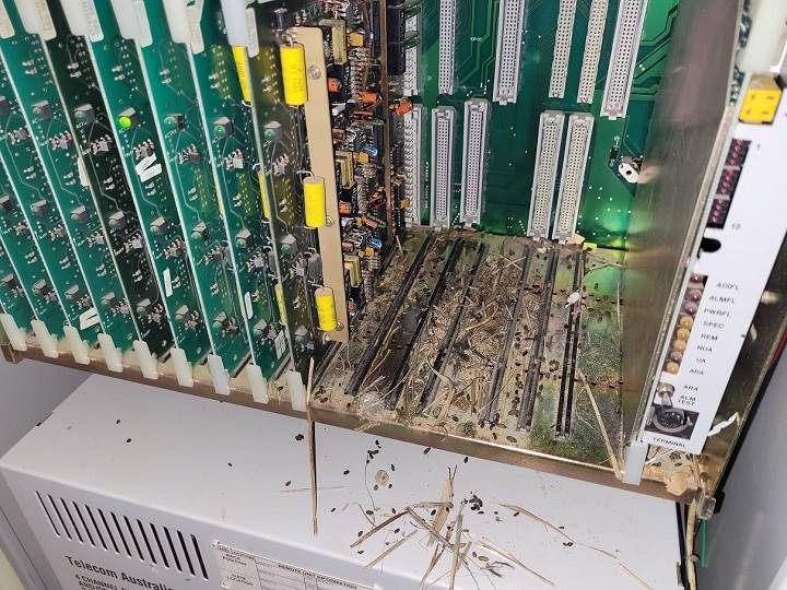 Lenovo trở lại mảng tablet cao cấp tại Việt Nam với chiếc Tab P11 Pro, giá 14,59 triệu đồng