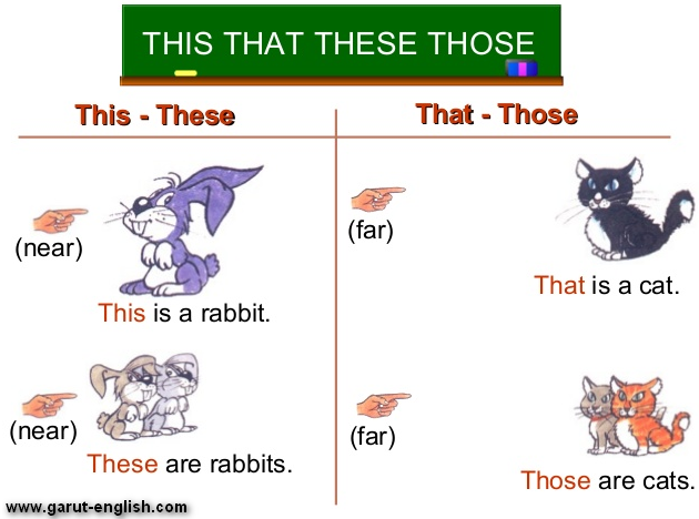 Contoh Adjective Dan Verb Laporan 7