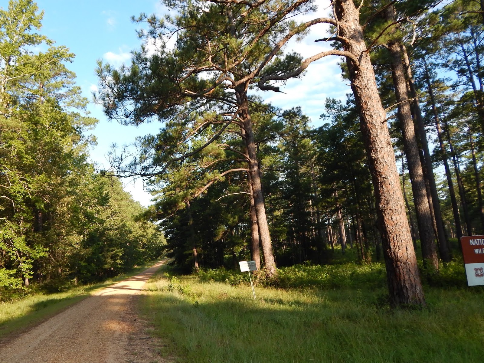 Central Louisiana Birding & Wildlife National Catahoula Wildlife