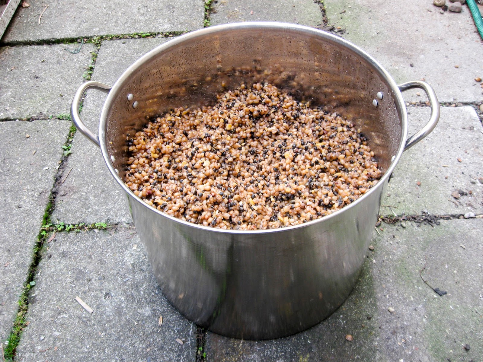 How to drown maggots Particles, boilies and new transpot!