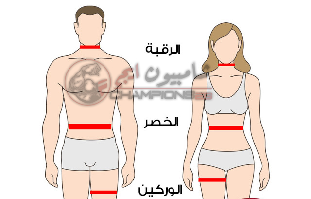 قرار مفاجئ يبكي محيط البطن المثالي للمرأة Sjvbca Org