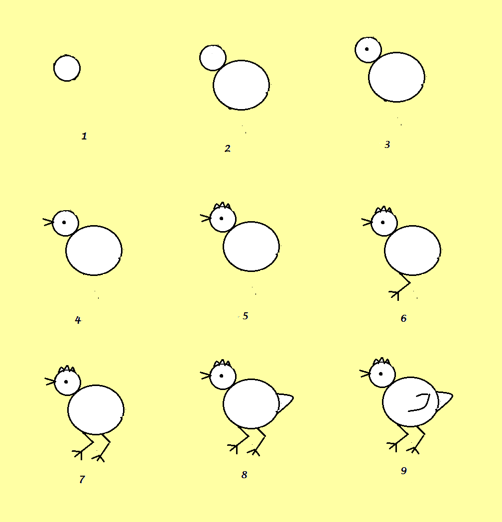Gambar Kartun Anak Ayam Lucu Kantor Meme