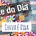 Chuva é Vida - Arte do Dia (Rain is Life - Art Journal) - VIDEO