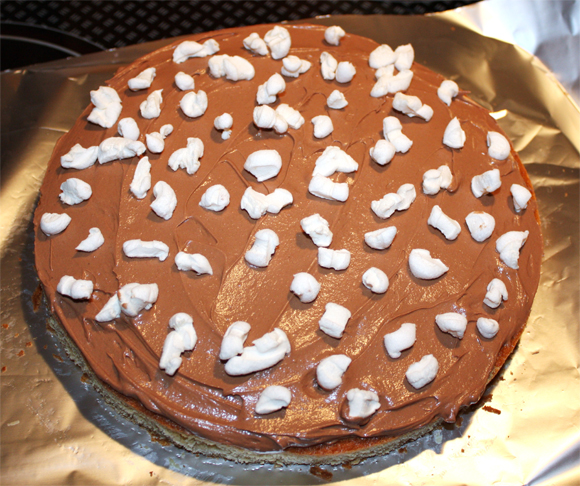 Elly&amp;#39;s Art: Mandel Marshmallow Kuchen – The Birthday Cake