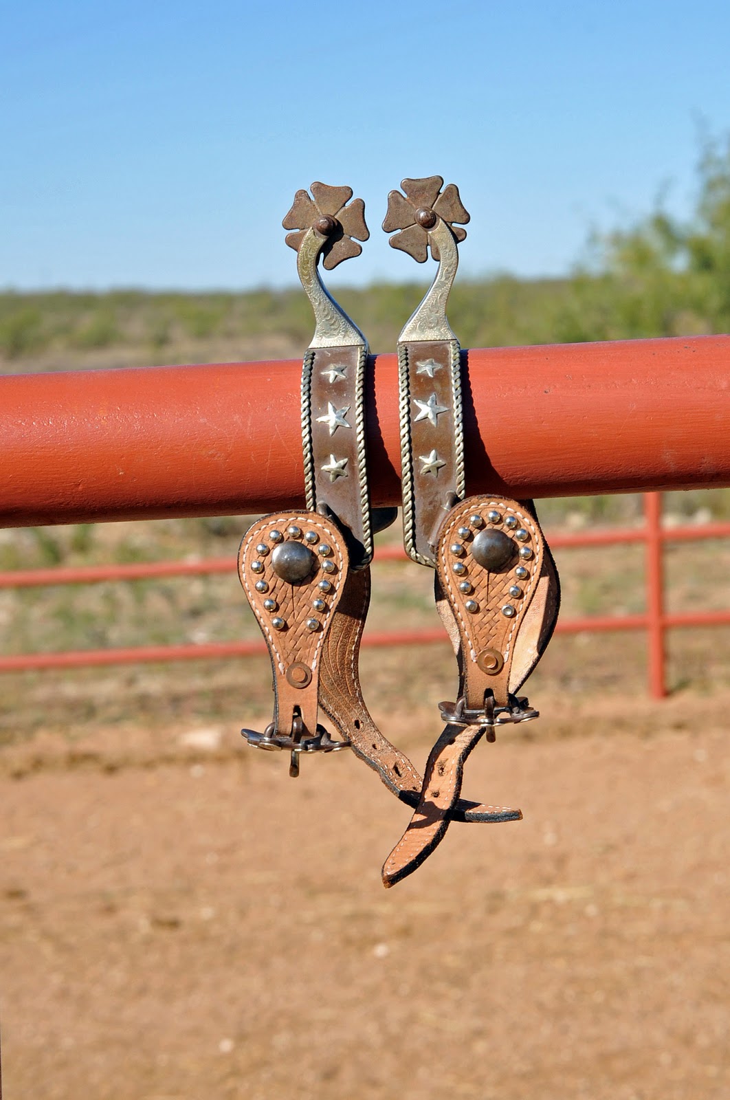 on a chicken wing and a prayer my life in spurs