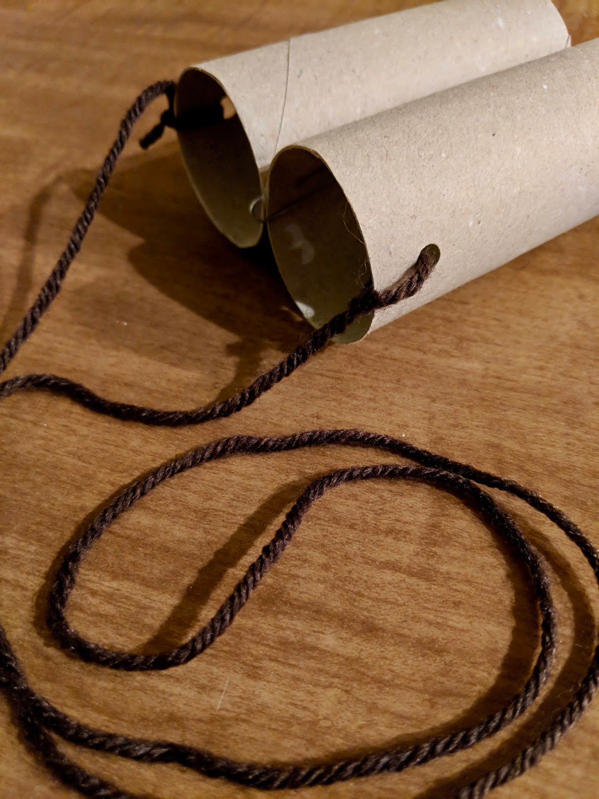 Toilet Paper Roll Binoculars