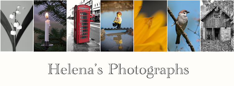 Helena's photographs