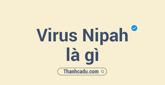 Virus Nipah là gì?