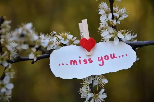 i love you miss you images