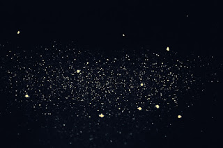 Fruhlingsfrische Gewinnspielsause Nestgezwitscher