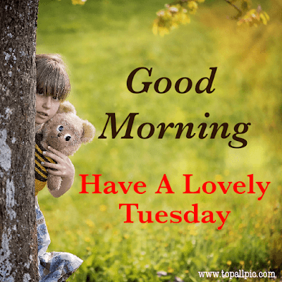 good morning tuesday images good morning tuesday images