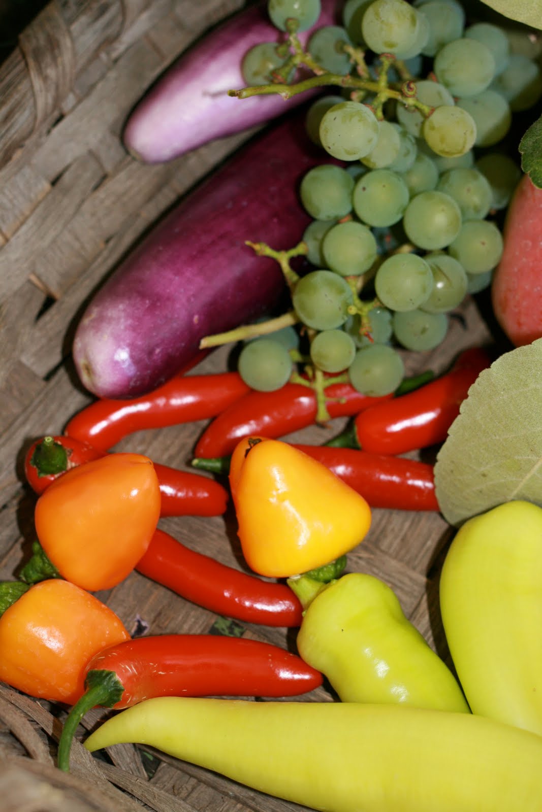 The Polished Pebble Flowers and Friends