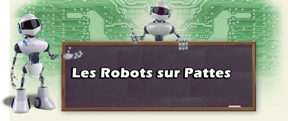 Les Robots sur Pattes - Electrique Pro