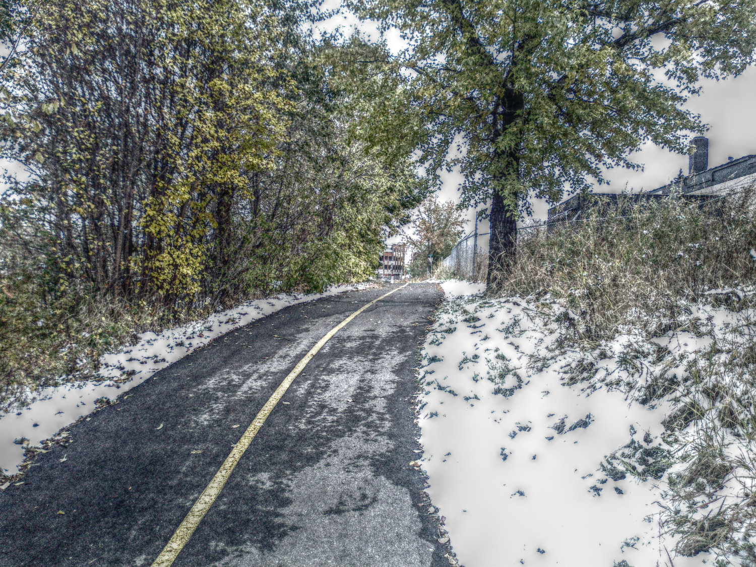 the kananaskis traveler calgary/first snow the kananaskis traveler calgary/first snow