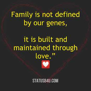 Family is not defined by our genes, it is built and maintain through love